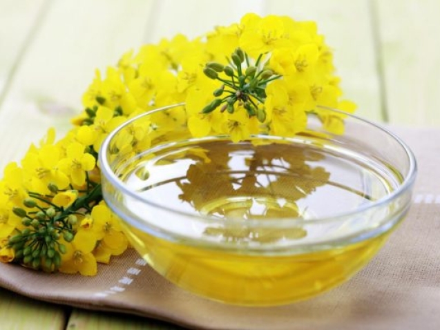 Canola oil